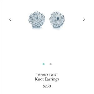Tiffany Twist Earrings